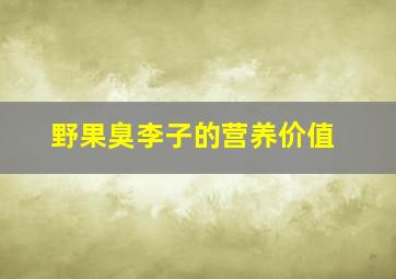 野果臭李子的营养价值