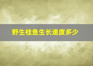 野生桂鱼生长速度多少