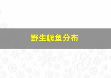 野生鳜鱼分布