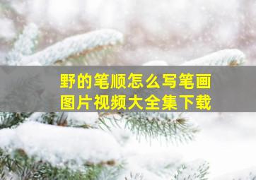 野的笔顺怎么写笔画图片视频大全集下载