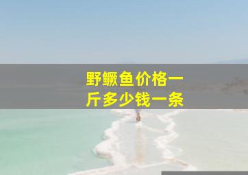 野鳜鱼价格一斤多少钱一条