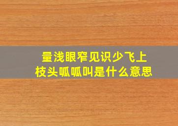 量浅眼窄见识少飞上枝头呱呱叫是什么意思