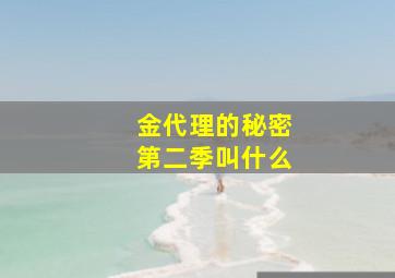 金代理的秘密第二季叫什么