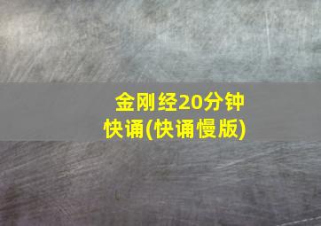 金刚经20分钟快诵(快诵慢版)