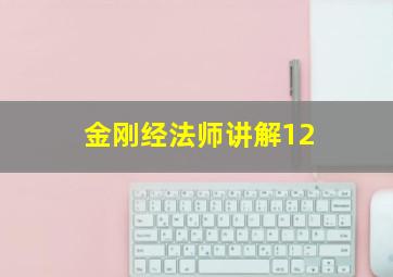 金刚经法师讲解12