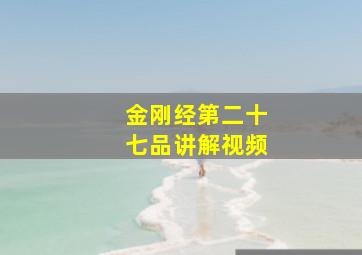 金刚经第二十七品讲解视频