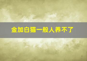 金加白猫一般人养不了