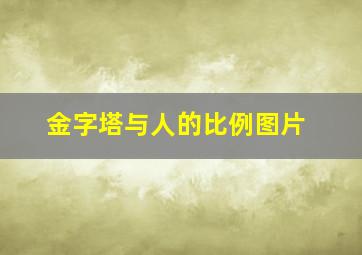 金字塔与人的比例图片