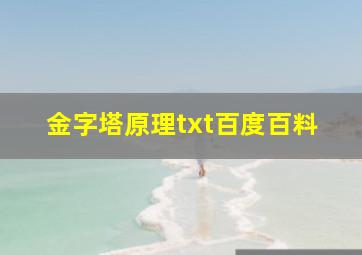 金字塔原理txt百度百料