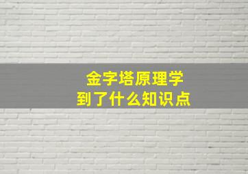 金字塔原理学到了什么知识点