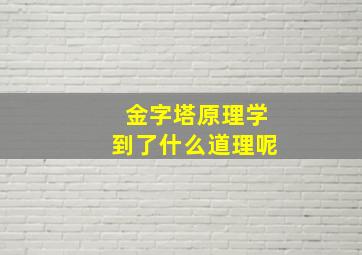 金字塔原理学到了什么道理呢