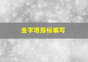 金字塔指标编写