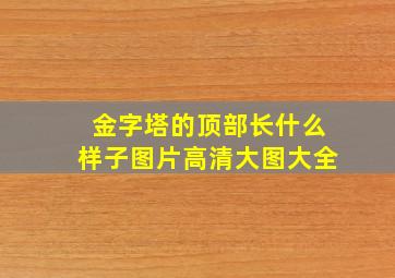 金字塔的顶部长什么样子图片高清大图大全