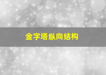 金字塔纵向结构