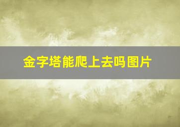 金字塔能爬上去吗图片