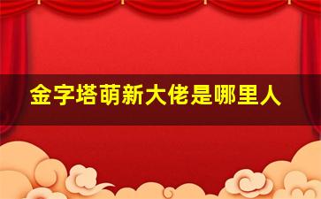 金字塔萌新大佬是哪里人