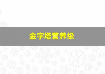 金字塔营养级