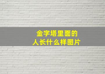 金字塔里面的人长什么样图片