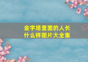 金字塔里面的人长什么样图片大全集