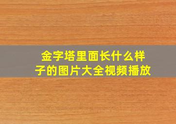 金字塔里面长什么样子的图片大全视频播放