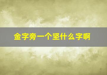 金字旁一个坚什么字啊