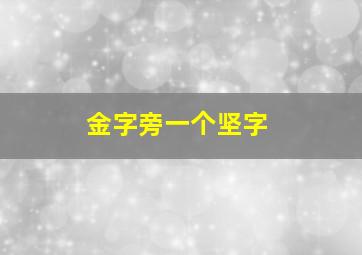 金字旁一个坚字