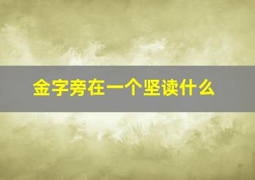 金字旁在一个坚读什么