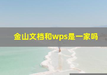 金山文档和wps是一家吗