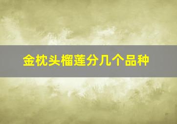 金枕头榴莲分几个品种