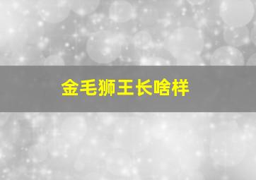 金毛狮王长啥样