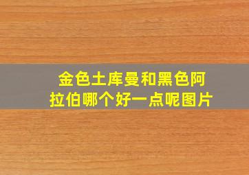 金色土库曼和黑色阿拉伯哪个好一点呢图片