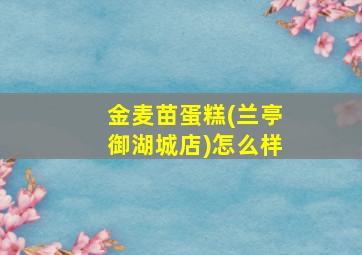 金麦苗蛋糕(兰亭御湖城店)怎么样