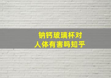 钠钙玻璃杯对人体有害吗知乎