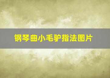 钢琴曲小毛驴指法图片