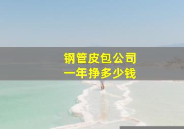 钢管皮包公司一年挣多少钱