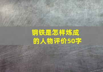 钢铁是怎样炼成的人物评价50字