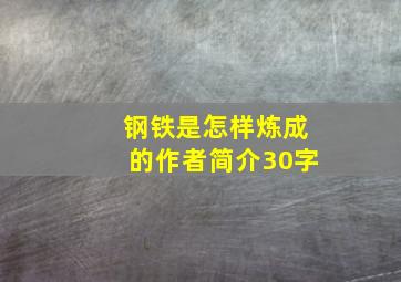 钢铁是怎样炼成的作者简介30字