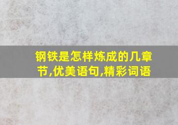 钢铁是怎样炼成的几章节,优美语句,精彩词语