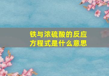 铁与浓硫酸的反应方程式是什么意思