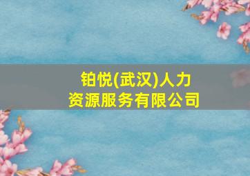 铂悦(武汉)人力资源服务有限公司