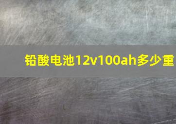 铅酸电池12v100ah多少重