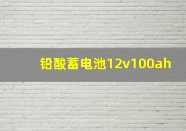 铅酸蓄电池12v100ah