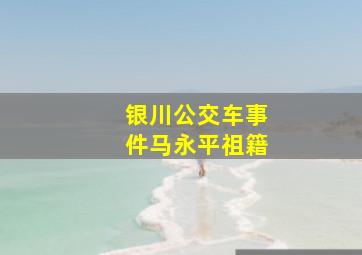 银川公交车事件马永平祖籍