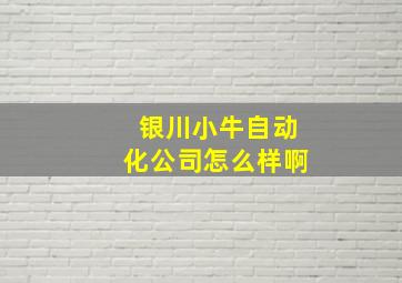 银川小牛自动化公司怎么样啊