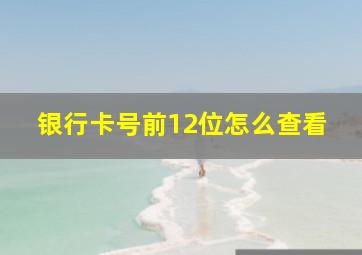 银行卡号前12位怎么查看