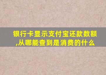 银行卡显示支付宝还款数额,从哪能查到是消费的什么