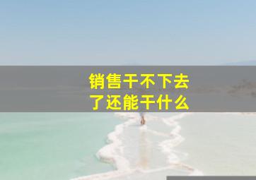 销售干不下去了还能干什么