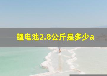 锂电池2.8公斤是多少a