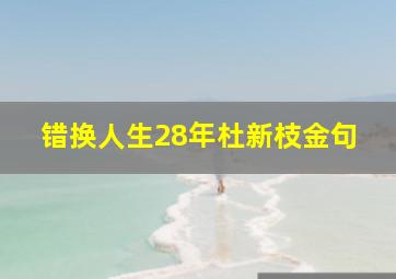 错换人生28年杜新枝金句