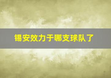 锡安效力于哪支球队了